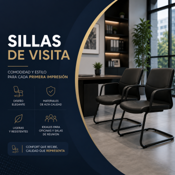 Visita